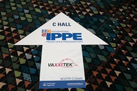 Picture of IPPE DIRECTIONAL FLOOR MESSAGE ARROWS  - C -Hall